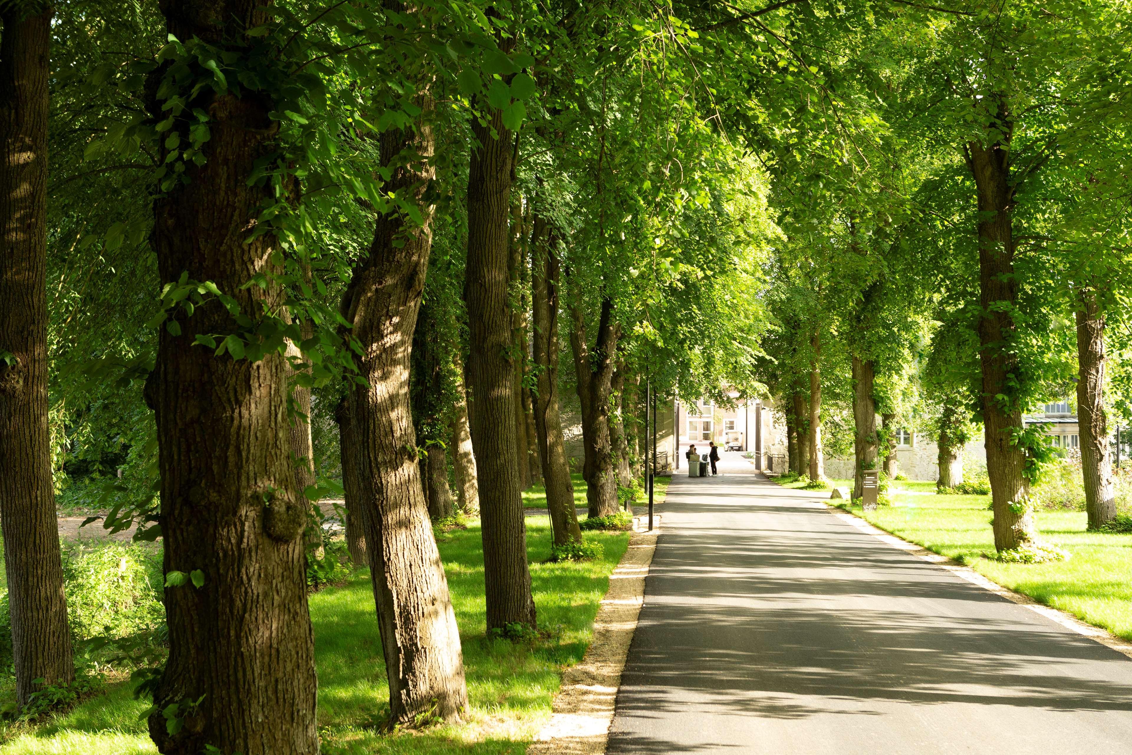 Hyatt Regency Chantilly Vineuil-Saint-Firmin Екстер'єр фото